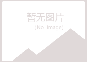 兴山县从彤服务有限公司